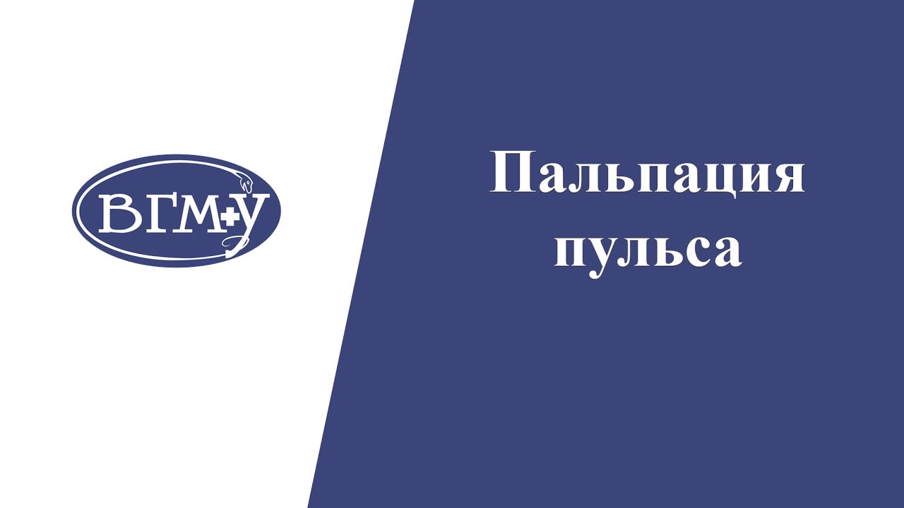 Исследование органов кровообращения: Пальпация пульса
