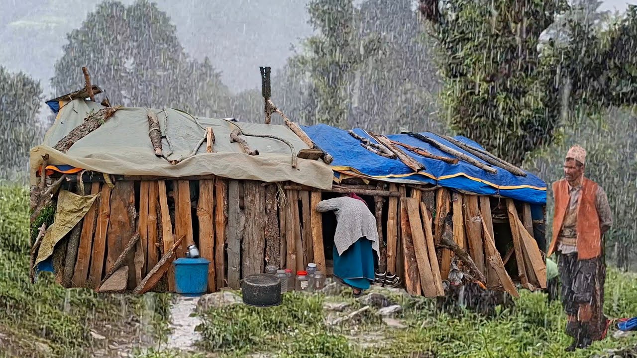 Best Life in A Himalayan Shepherd’s During The Rainy Day | Most Relaxing | Village Documentary Video