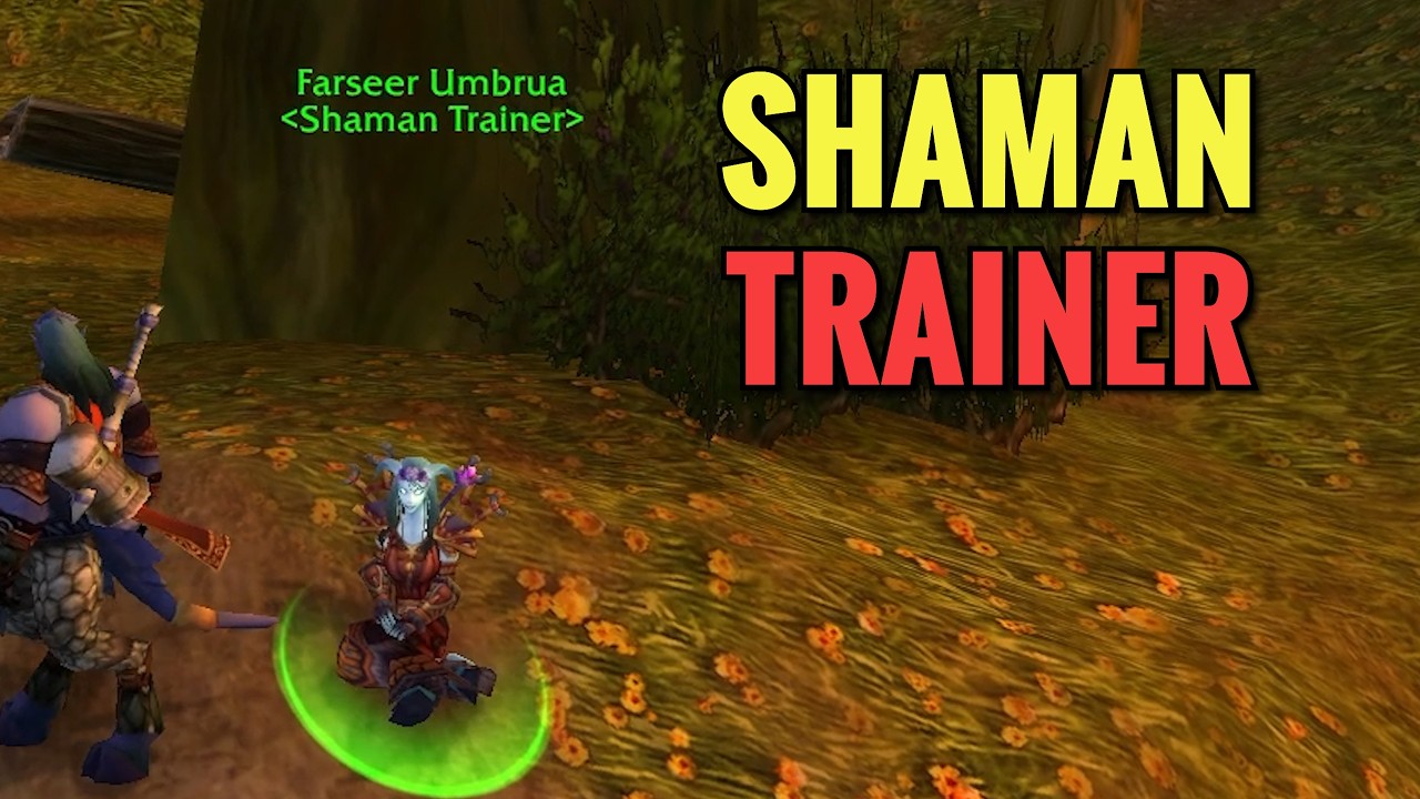 Stormwind Shaman Trainer (WoW TBC)