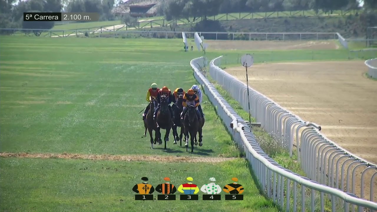 5 Carrera, Gran Premio Dos Hermanas, 23 de febrero de 2020 - Gran Hipódromo de Andalucía