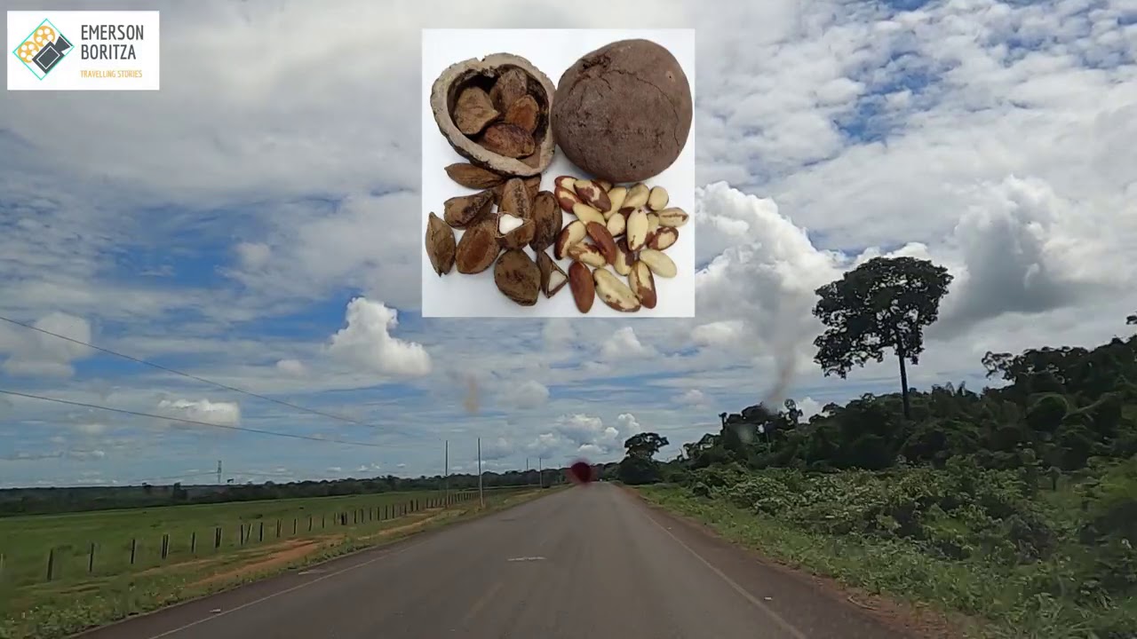 RODOVIA MT 170  - ENTRE JUÍNA E BRASNORTE NO MATO GROSSO