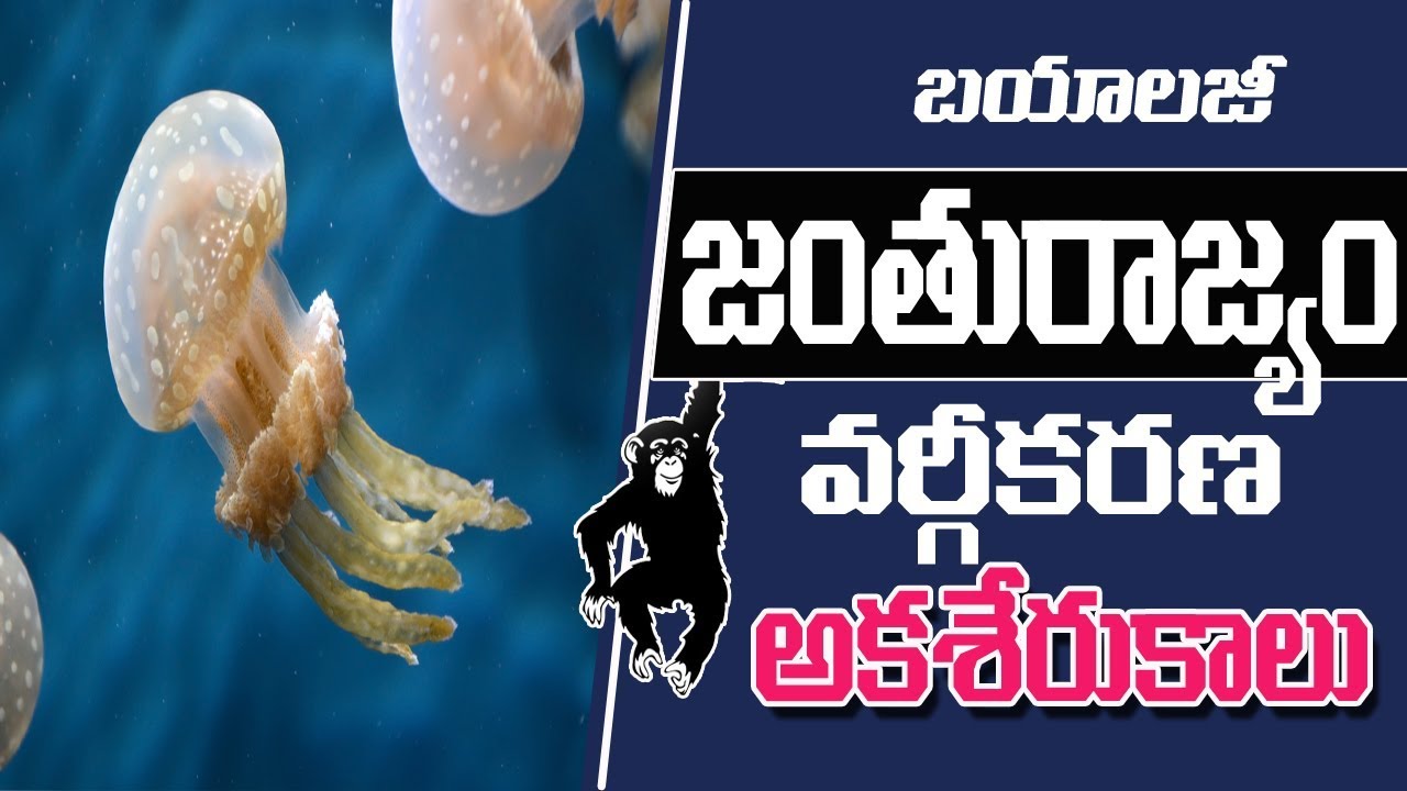 TET/TRT & DSC || Animal Kingdom classification || Biology Telugu Medium