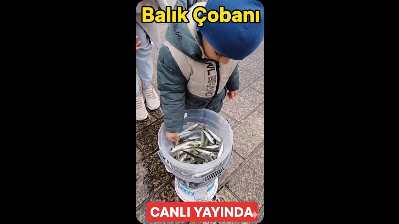 Üsküdar Meydanı'nda İSTAVRİT SHOW! Çapariler Salkım, Kovalar Dolu, YÜZLER gülüyor 🎣 