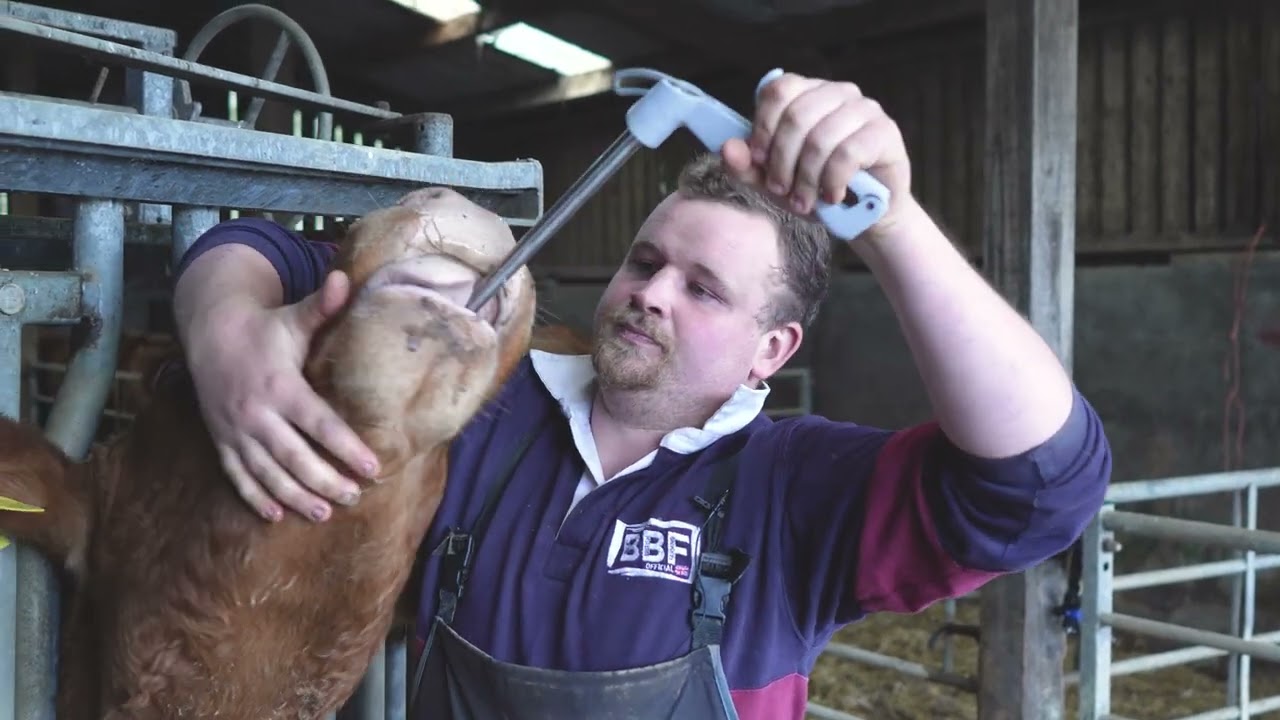 Nettex Endurabol High Iodine