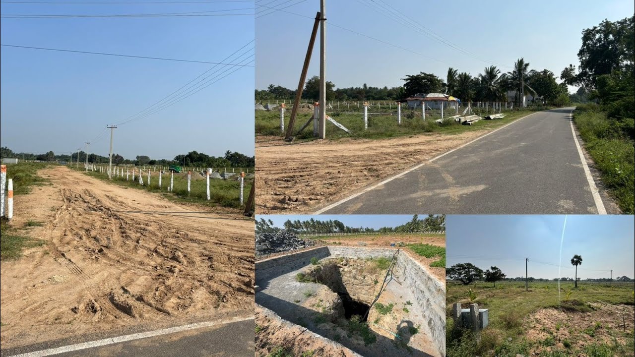 6379170190 திண்டுக்கல் to வேடசந்தூர் செல்லும் வழியில் தாடிகொம்பு அருகில் 3 ஏக்கர் விற்பனைக்கு#agri 