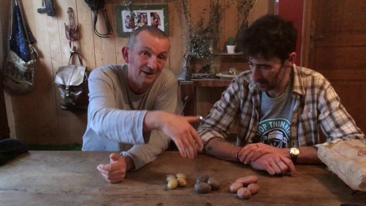 Discussion impromptue sur la dormance des pommes de terre et le mildiou, avec Christophe Gatineau...