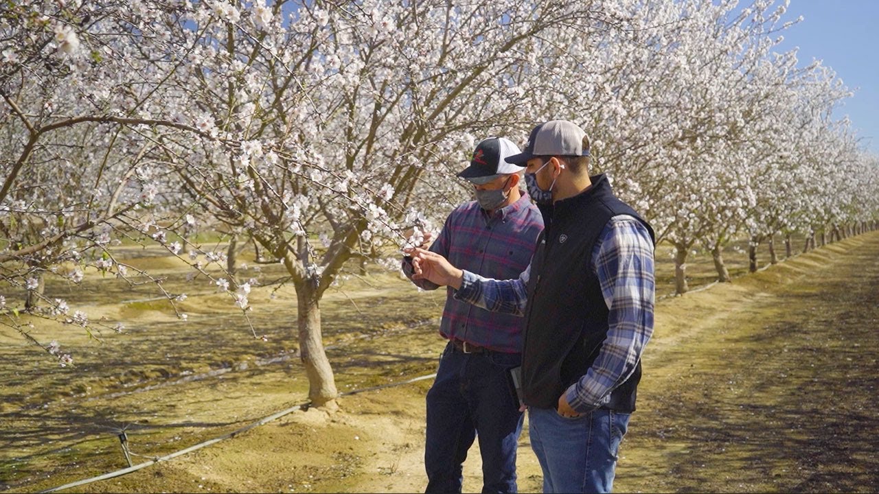 Using Technology & Data to Drive Sustainable Agriculture