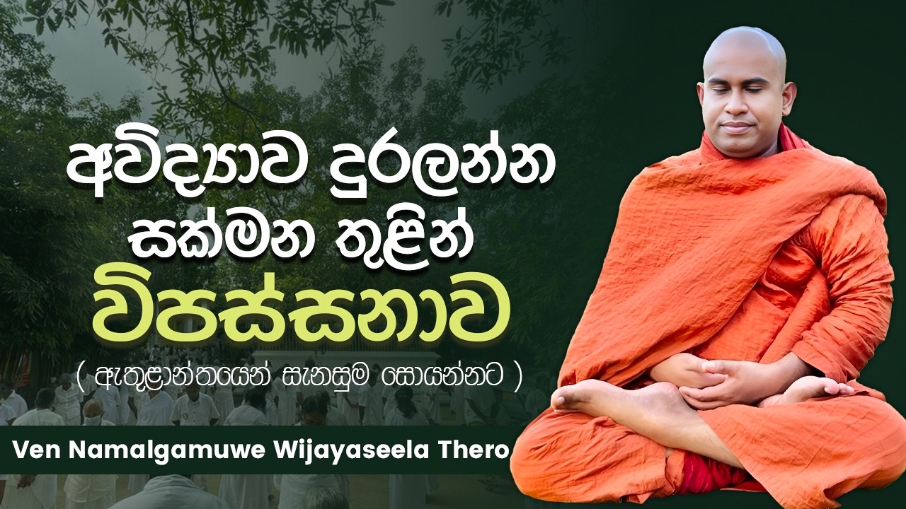 අවිද්‍යාව දුරලන්න සක්මන තුළින් විපස්සනාව │ Ven Namalgamuwe Wijayaseela Thero │ Dharma deshana