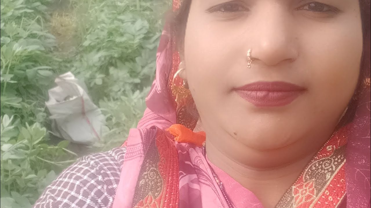 खेत में बथुआ तोड़नेआए