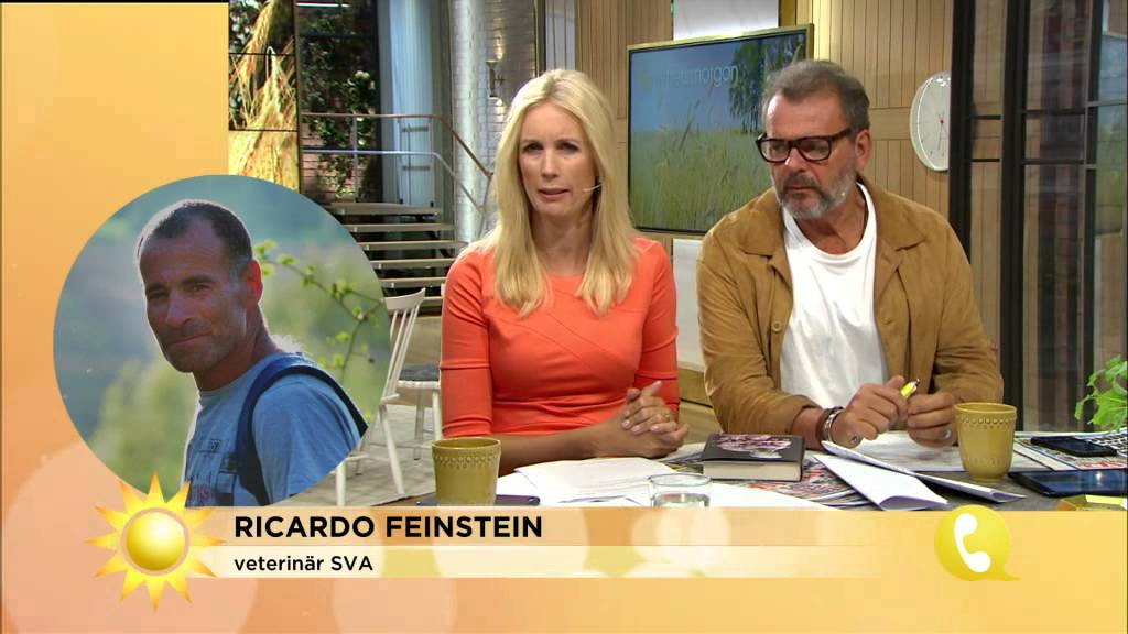 Veterinären om kaninpest: 