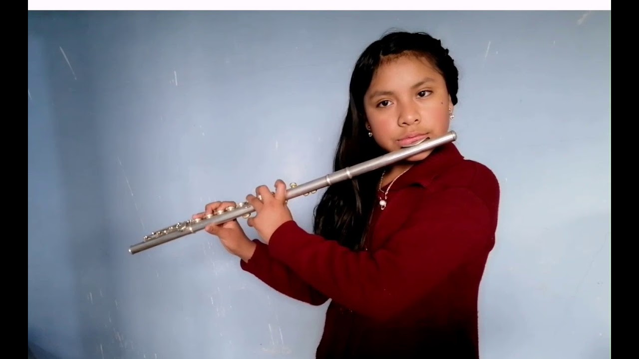 Concerto in G major, Flauta