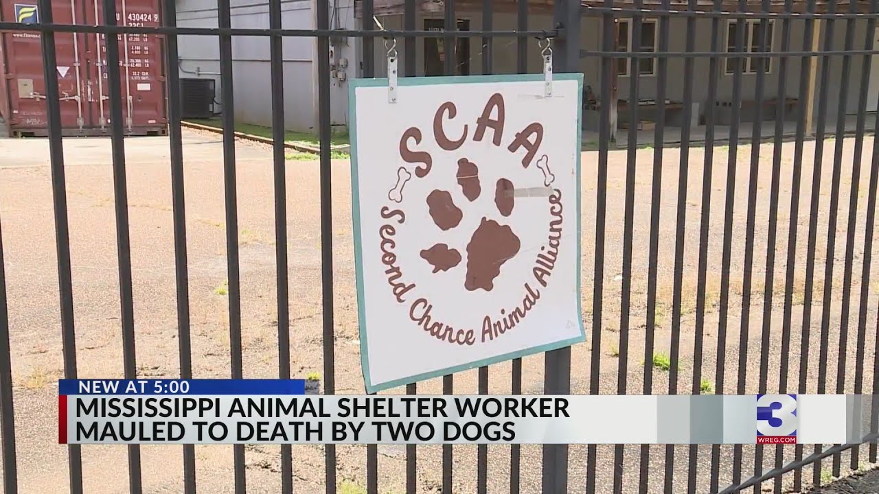 MS man mauled to death by two dogs at animal shelter