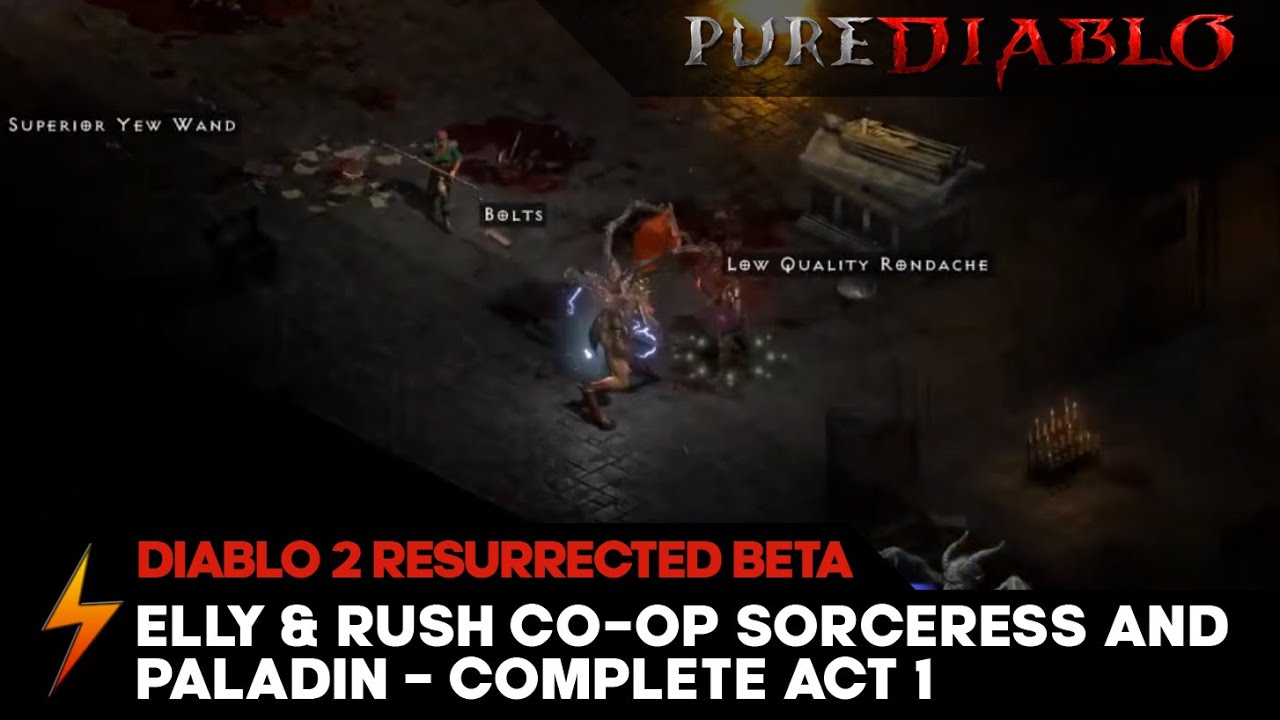 Diablo 2 Resurrected Live Co-op Stream [Paladin and Sorceress] - PureDiablo.Com