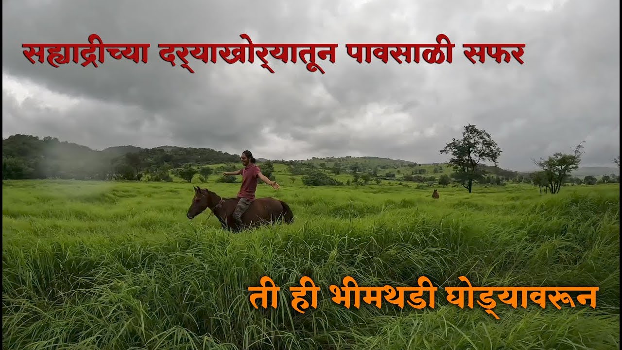 A Long Tour With Bhimthadi Horses part 4 | संह्याद्रीतून 225km  घोडेस्वारी | ९ दिवस घोड्यावरून सफर!