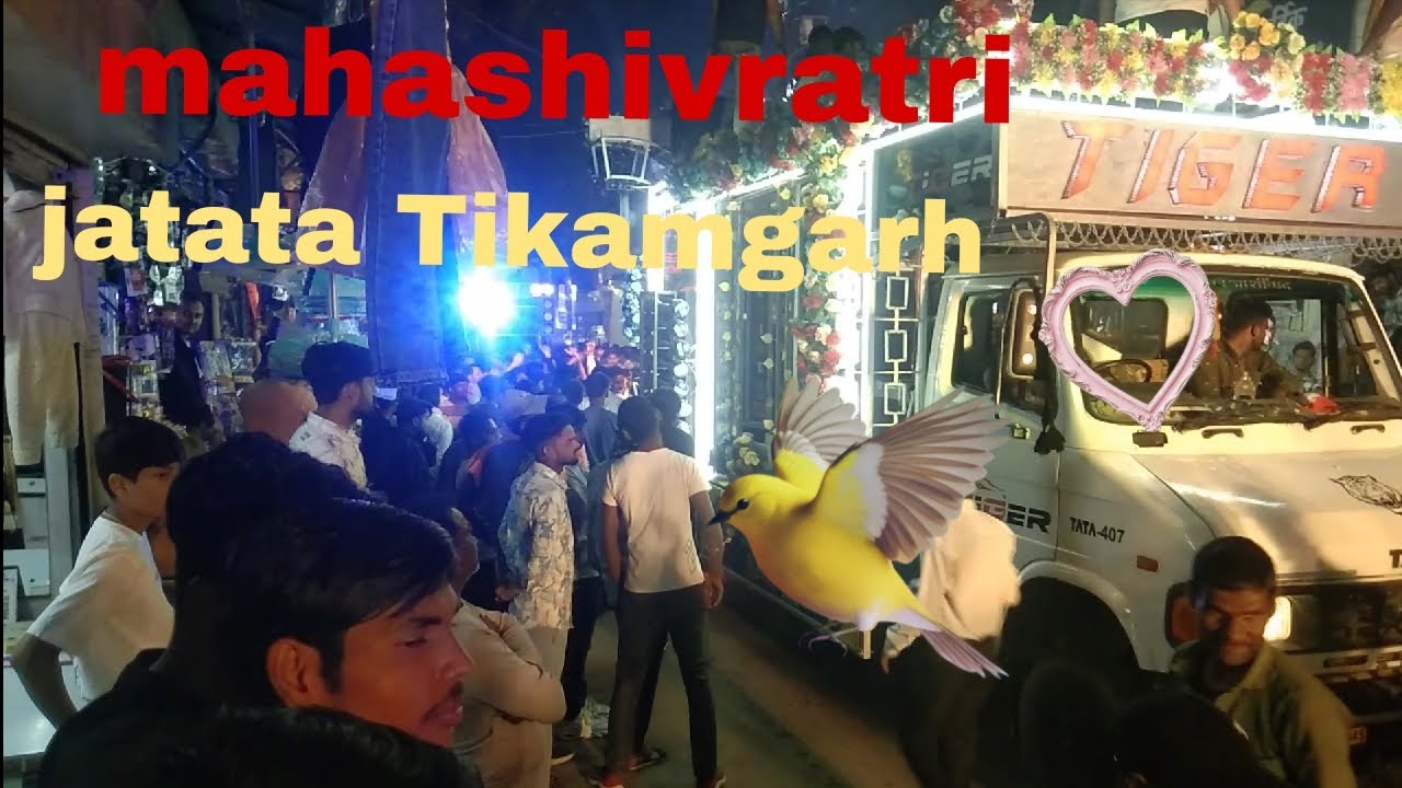 Mahashivratri bhole baba ki baraat 🙏🙏 jatara Tikamgarh  agla pagla aay baraati 😂😂