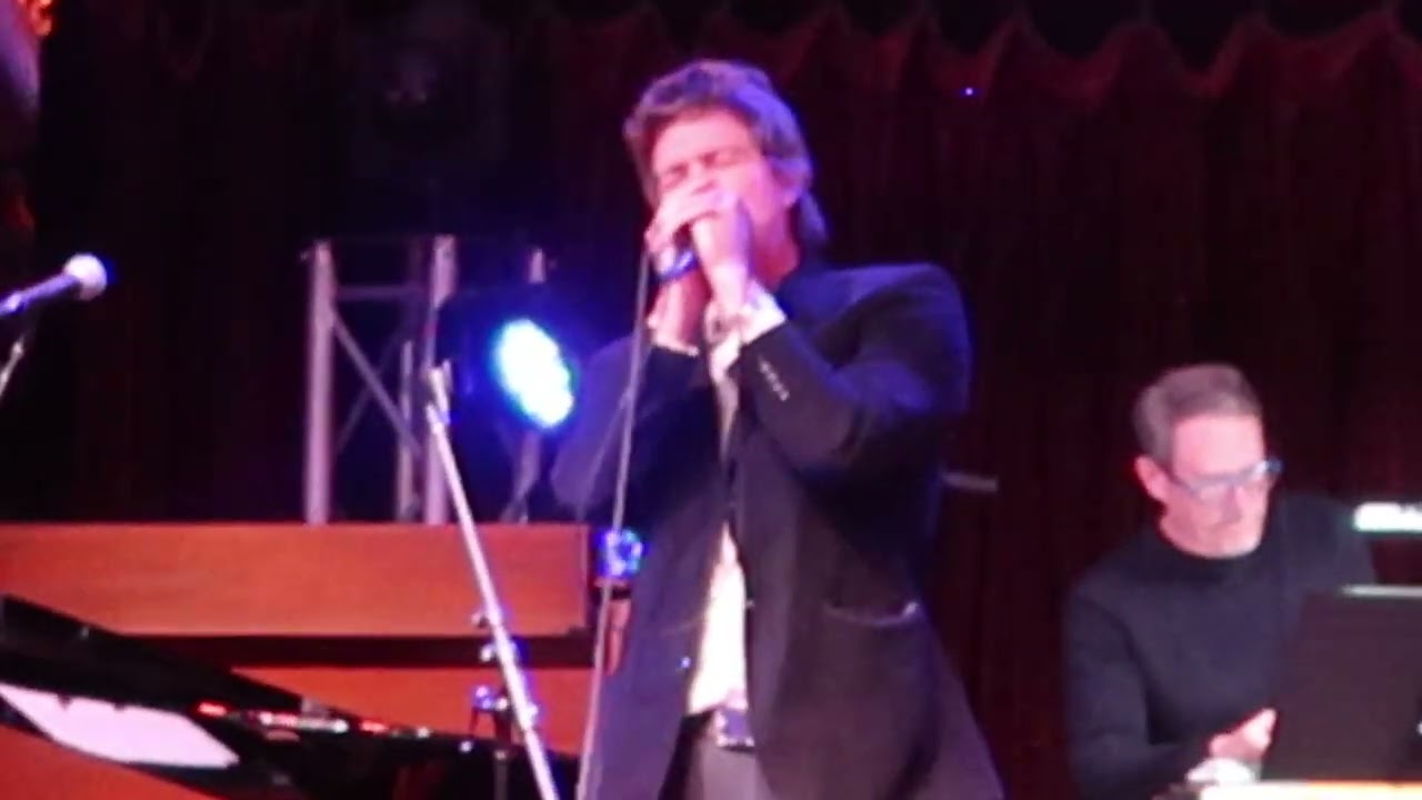 Hamilton Leithauser live 