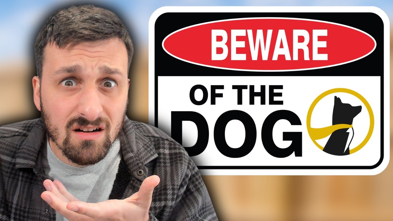 How Underdog Cheated Me Out of Thousands (Developing Story)