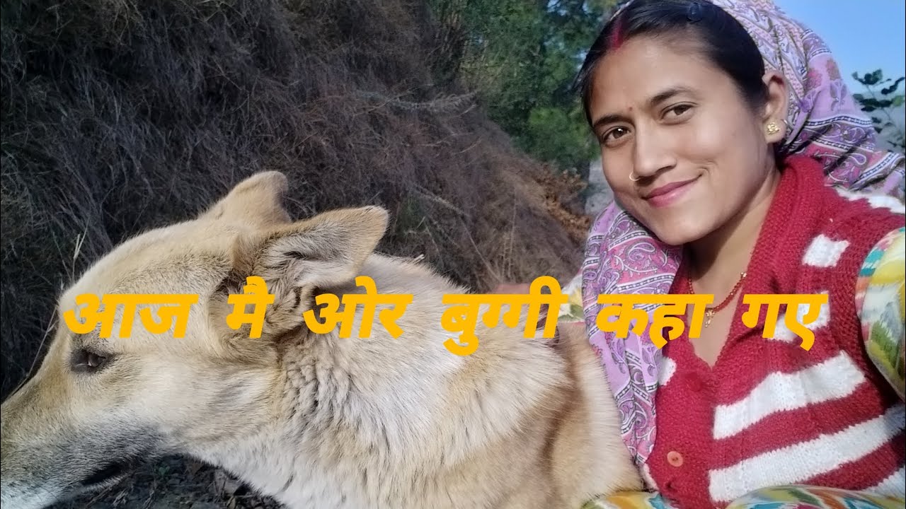 एक साल बाद गई मै लकड़ी लेने ओर साथ में बुग्गी भी 🥰 pahadi lifestyle vlogs!! Arti Rawat vlogs!!