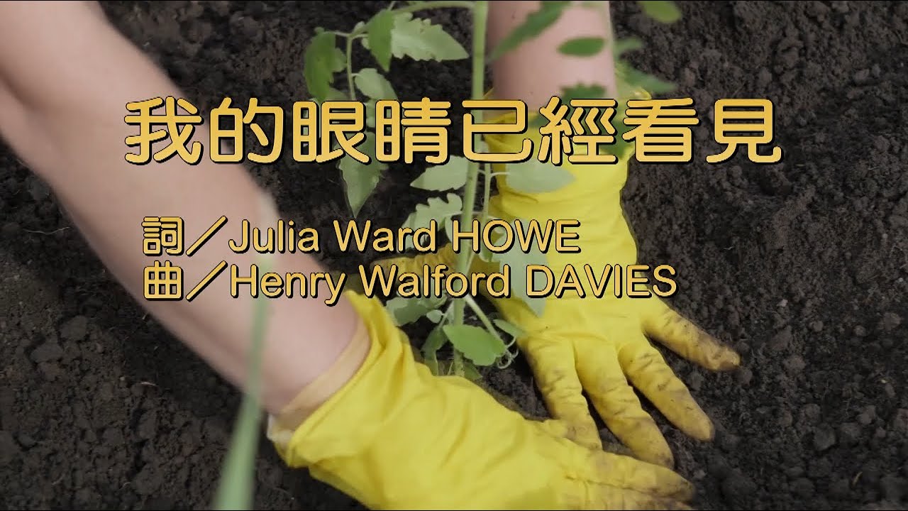 我的眼睛已經看見