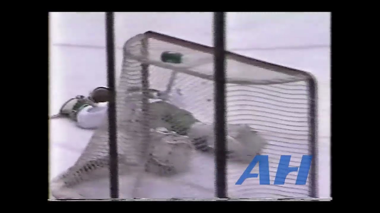 NHL Feb. 27, 1992 Pittsburgh Penguins v Hartford Whalers (R) Jim Paek v James Black (R)