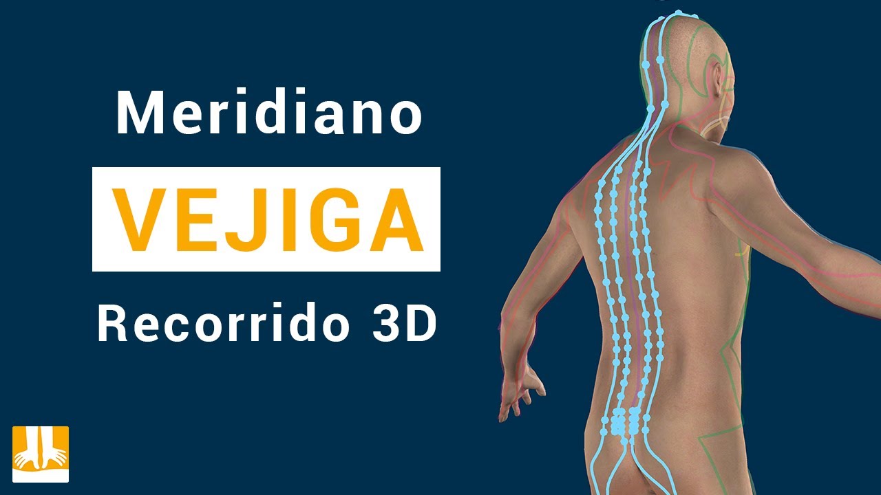 El meridiano de la Vejiga - Recorrido 3D punto a punto