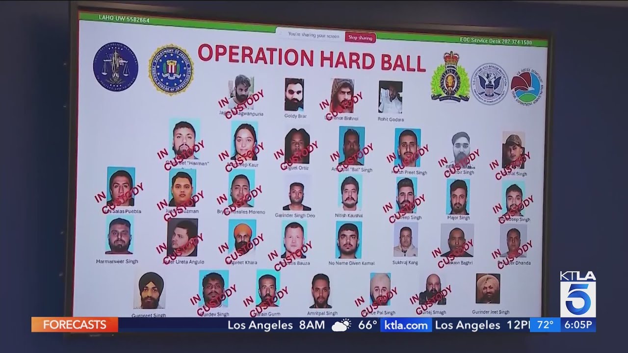 Two dozen suspects tied to transnational crime ring arrested