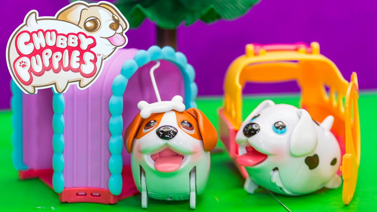 The Chubby Puppies Beagle Tunnel Playset Ultimate Dog Park Toy Review