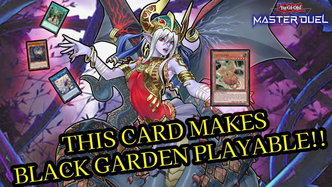 Cattycorn Searches ANY Field Spell! | Ragnaraika Ogdoadic Black Garden [Yu-Gi-Oh! Master Duel]