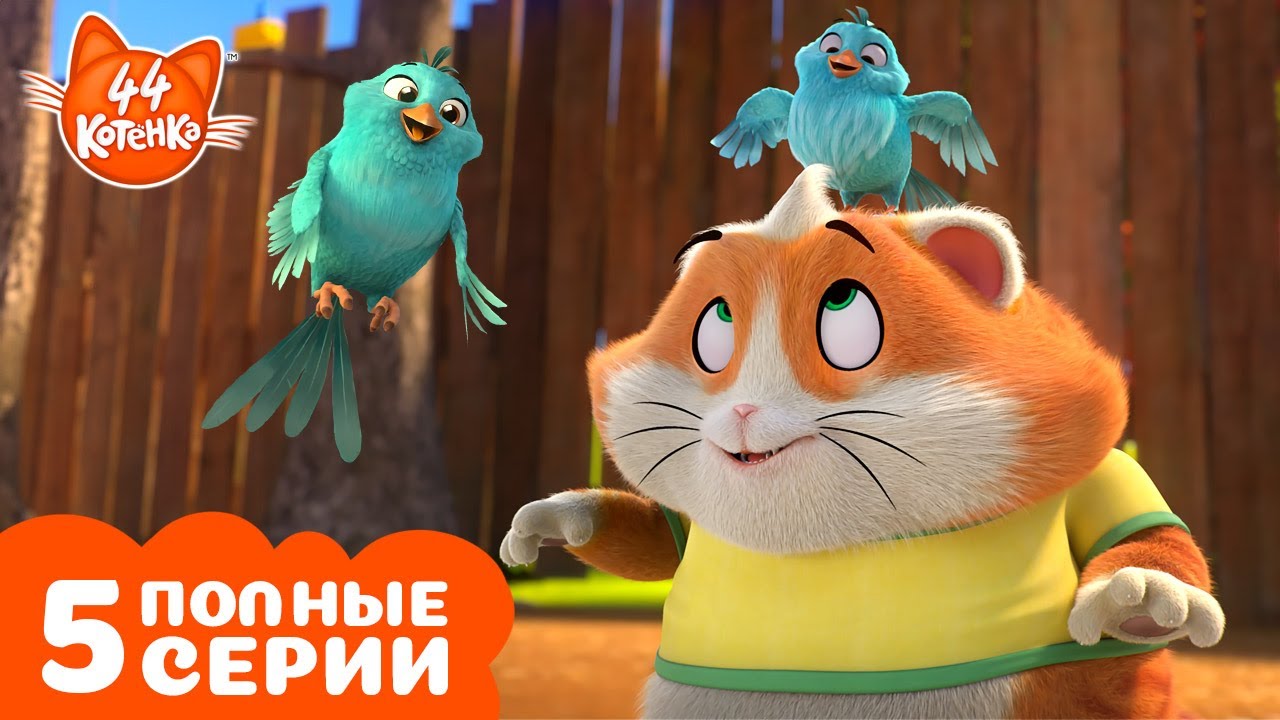 44 Котёнка | ТОП-5 моментов с Пончиком | Полные серии | Мультфильмы для детей