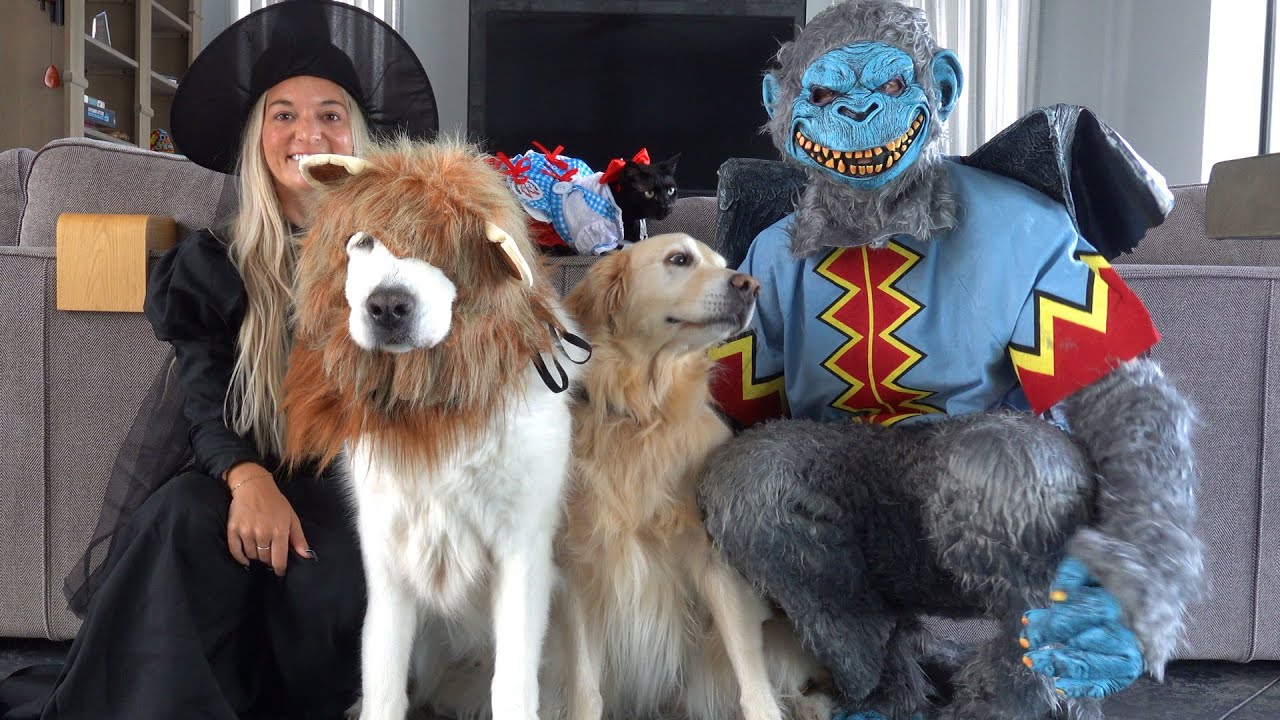 WE SPOOKED OUR PETS FOR HALLOWEEN! - Super Cooper Sunday 365