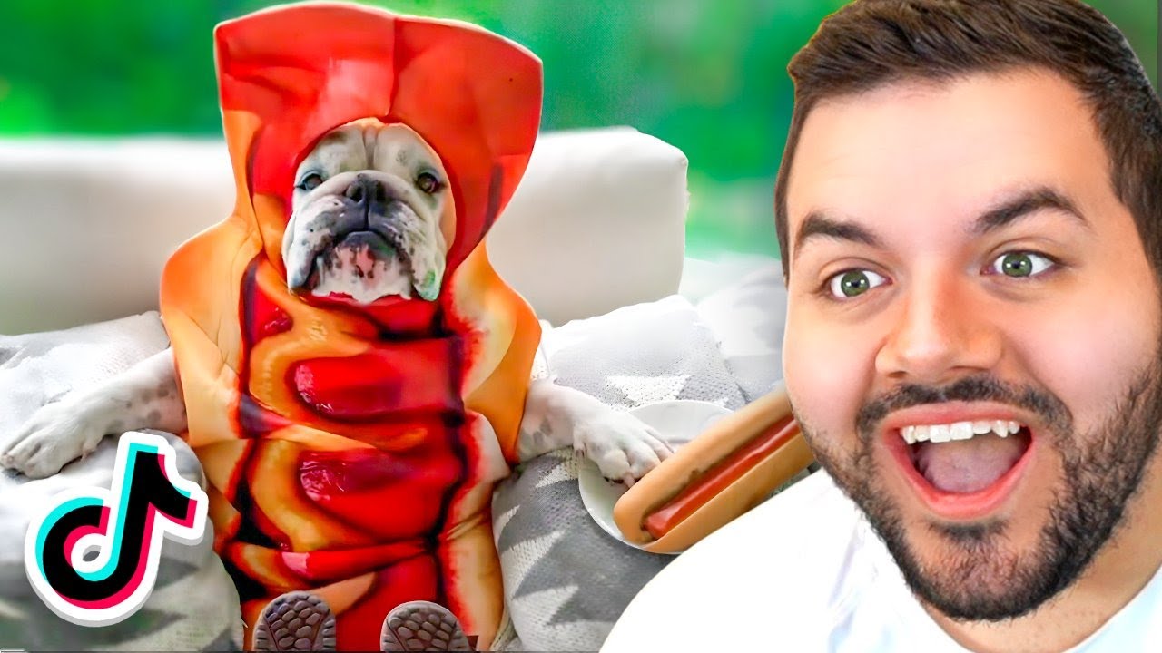 1 Hour Of The Funniest TikToks!