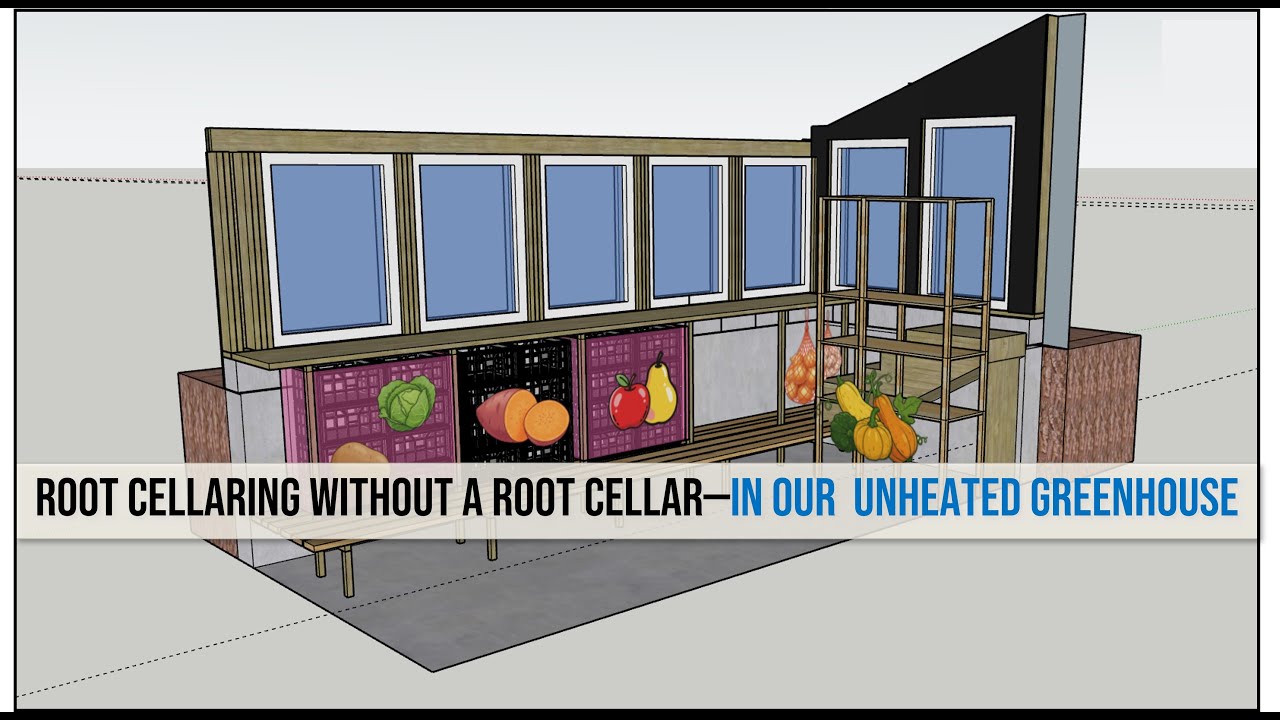 Как выращивать рассаду в погребе, если у вас нет погреба (использование неотапливаемой теплицы зи...