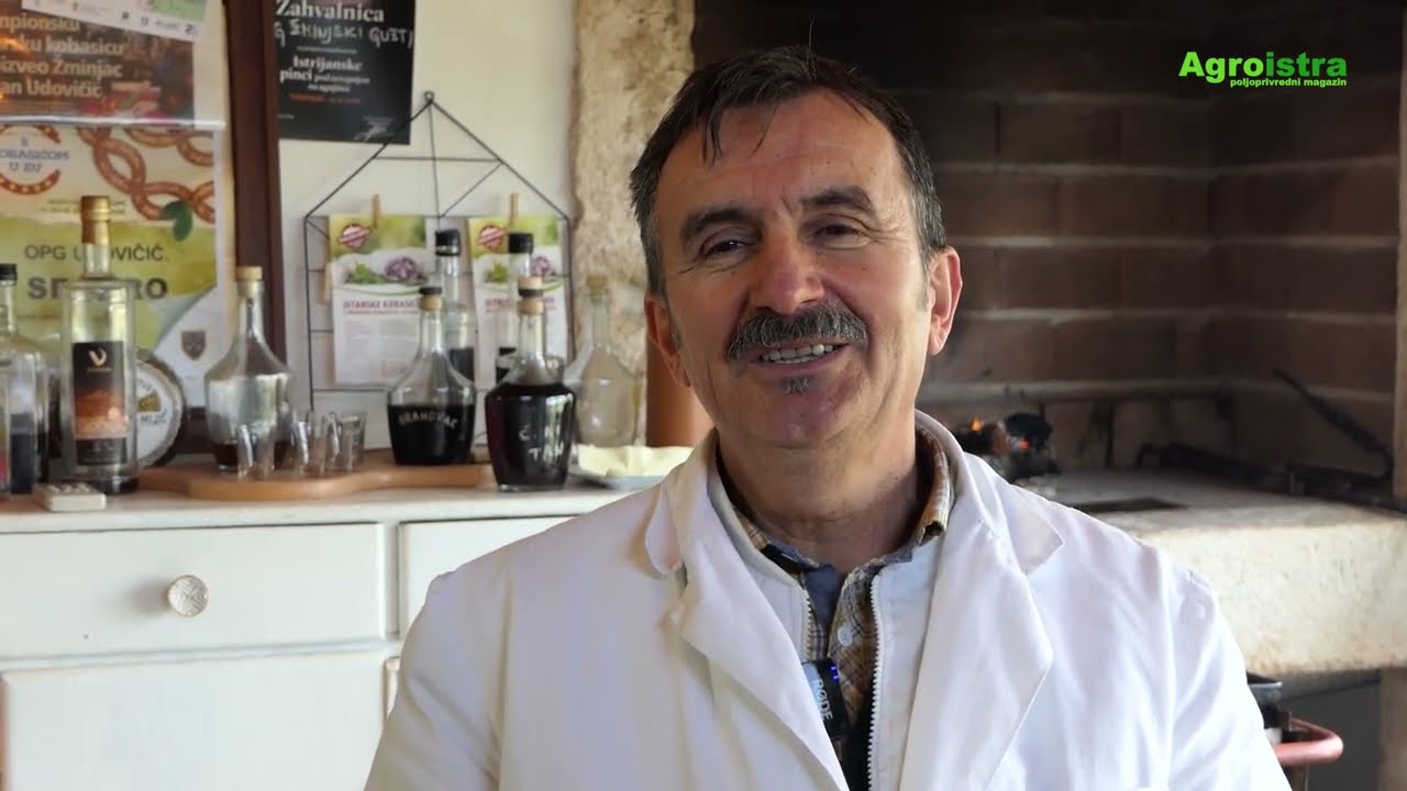 Žminjski gušti