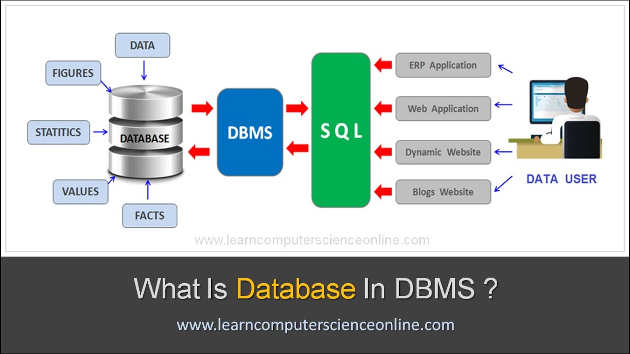 What Is Database ? | Beginners Introduction To Database In DBMS