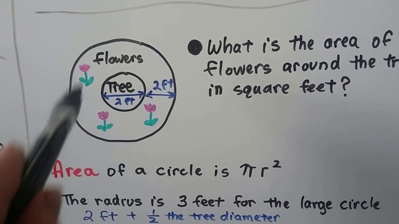 G.E.D. Math  26b, Approaching multi-step problems  (area or volume)