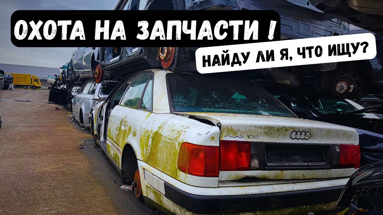 Что я нашёл на крупнейшем шроте Германии для Дед-Ауди? | проект Audi 100 2.8E C4