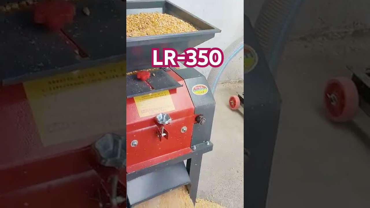 Broyeur &agrave; ma&iuml;s efficace LR-350 en action : parfait pour la pr&eacute;paration des aliments pour le b&eacute;tail !