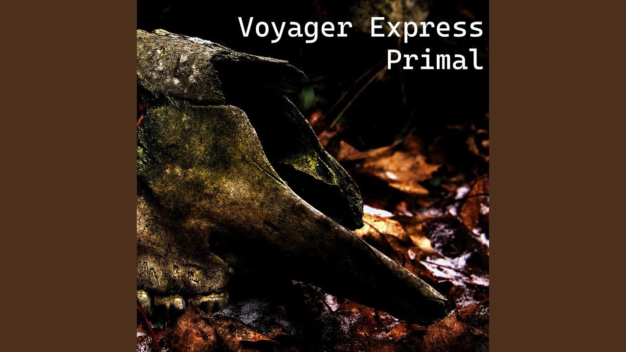 Voyager