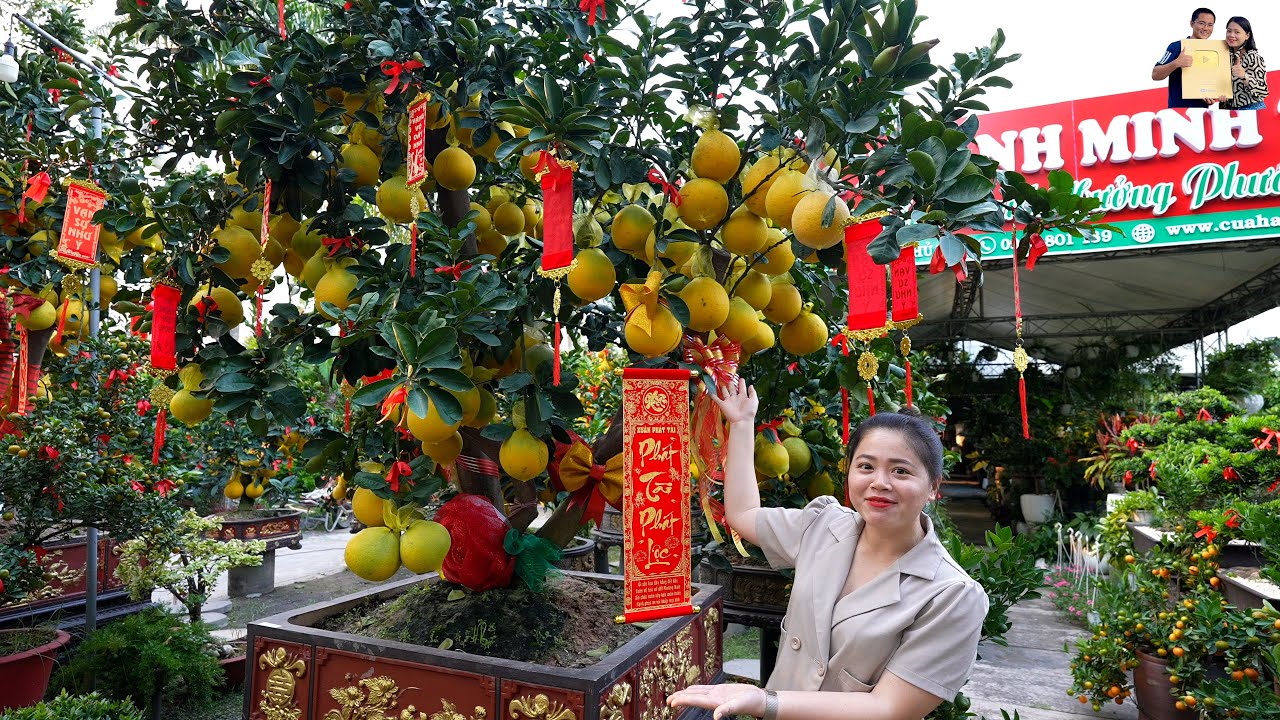 Vườn Bưởi Diễn trăm quả Chợ Hoa Tết 2024 ăn toàn món ngon dân dã ở Quán Miệt Vườn giữa lòng Sài Gòn