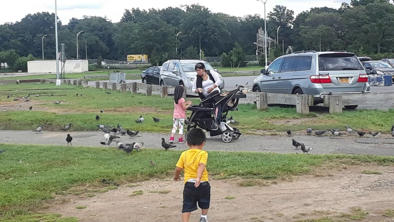 Luis alberto Guaman Mis hijos en new york
