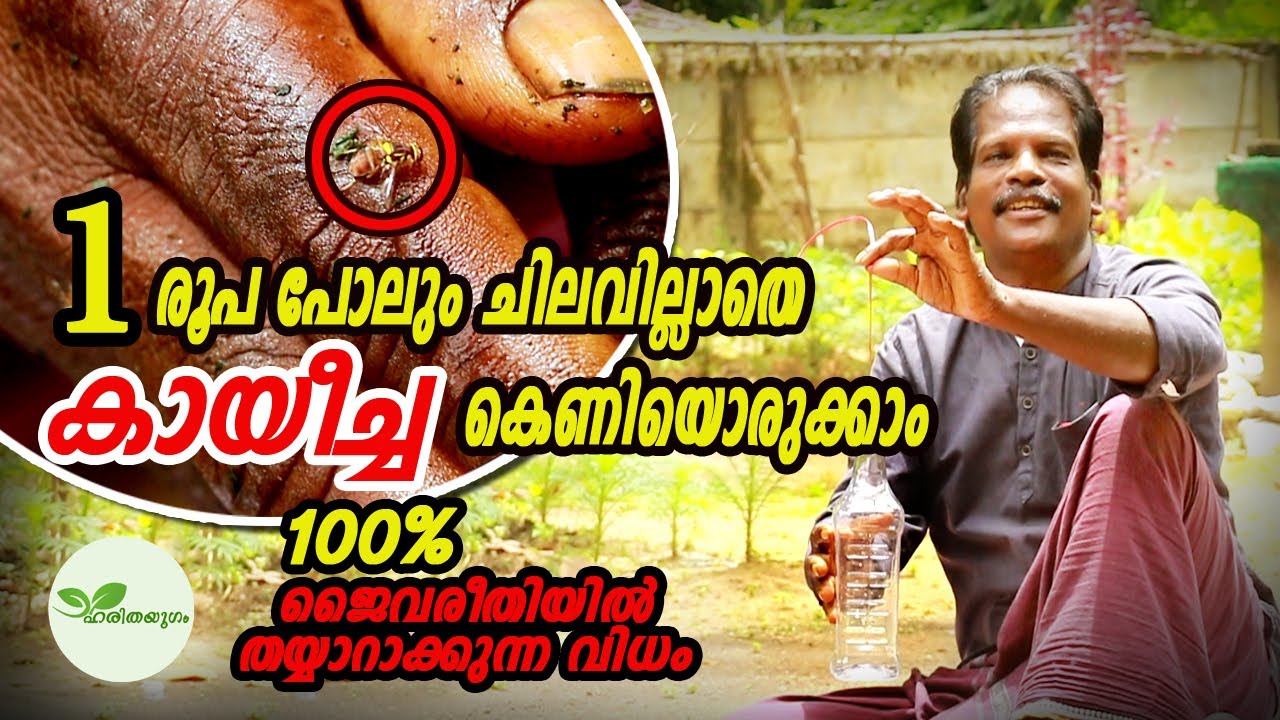 How to Create Kayeecha Trap Without Money | പണ ചിലവില്ലാതെ കായീച്ച കെണിയൊരുക്കാം