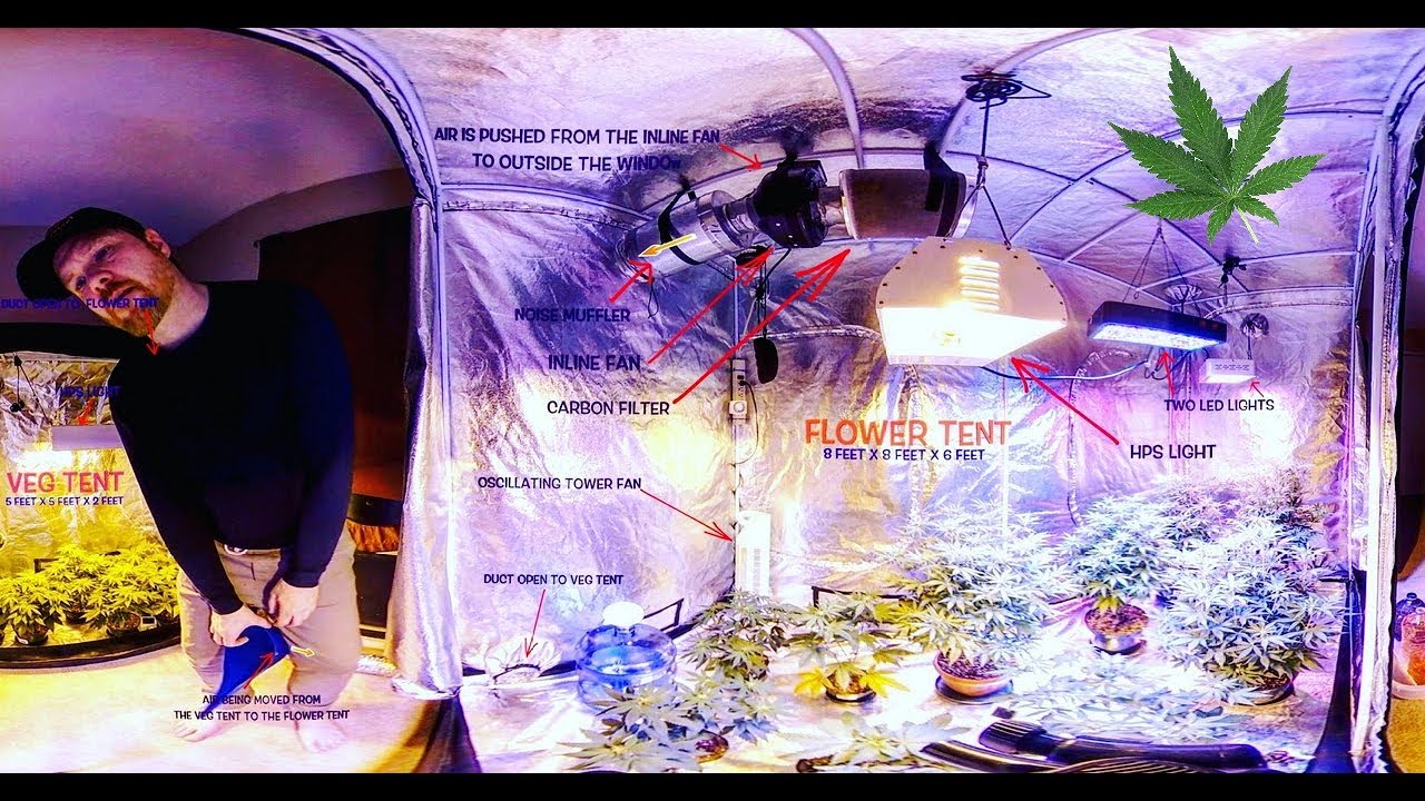 My marijuana garden setup in 360 4k📽