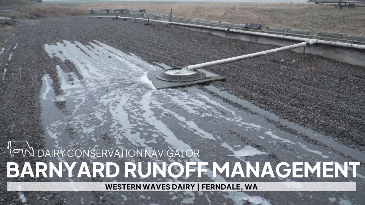 Conservation Practices Strengthening Water Stewardship on a Dairy Farm