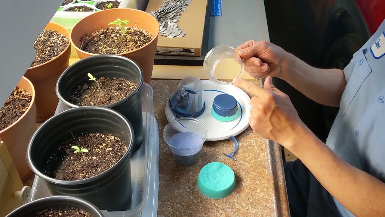 Как сделать силиконовую форму для кольца, состоящую из двух частей