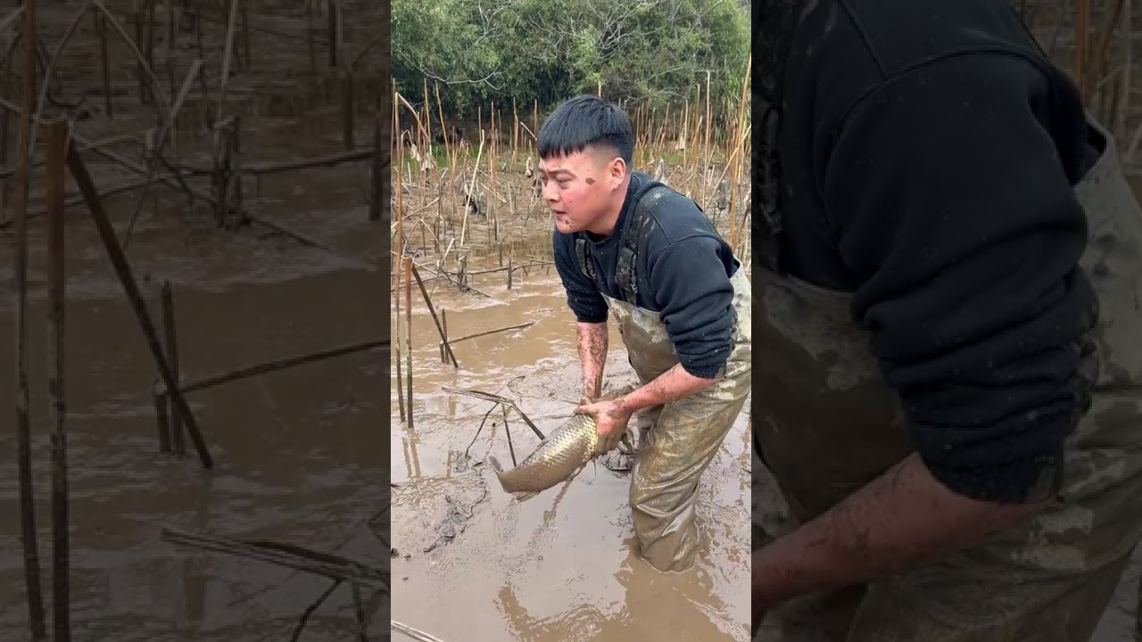Unbelievable Transformation! From 1000 Yuan to a Mountain Oasis