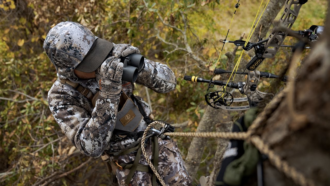 Buck Encounters From A Tree Saddle