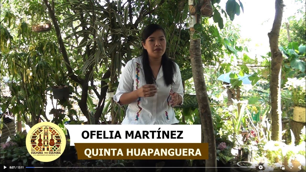 Semblanza Trío Miyauaxochitl - Cultura tras Cultura