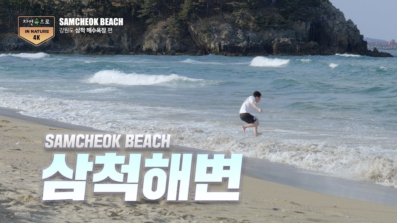 삼척해수욕장 SAMCHEOK BEACH 삼척해수욕장 asmr 소나무밭 DJI 매빅 프로2 파도 삼척해변 자연속으로, in nature 4K 고화질 UHD korea (2) 여행