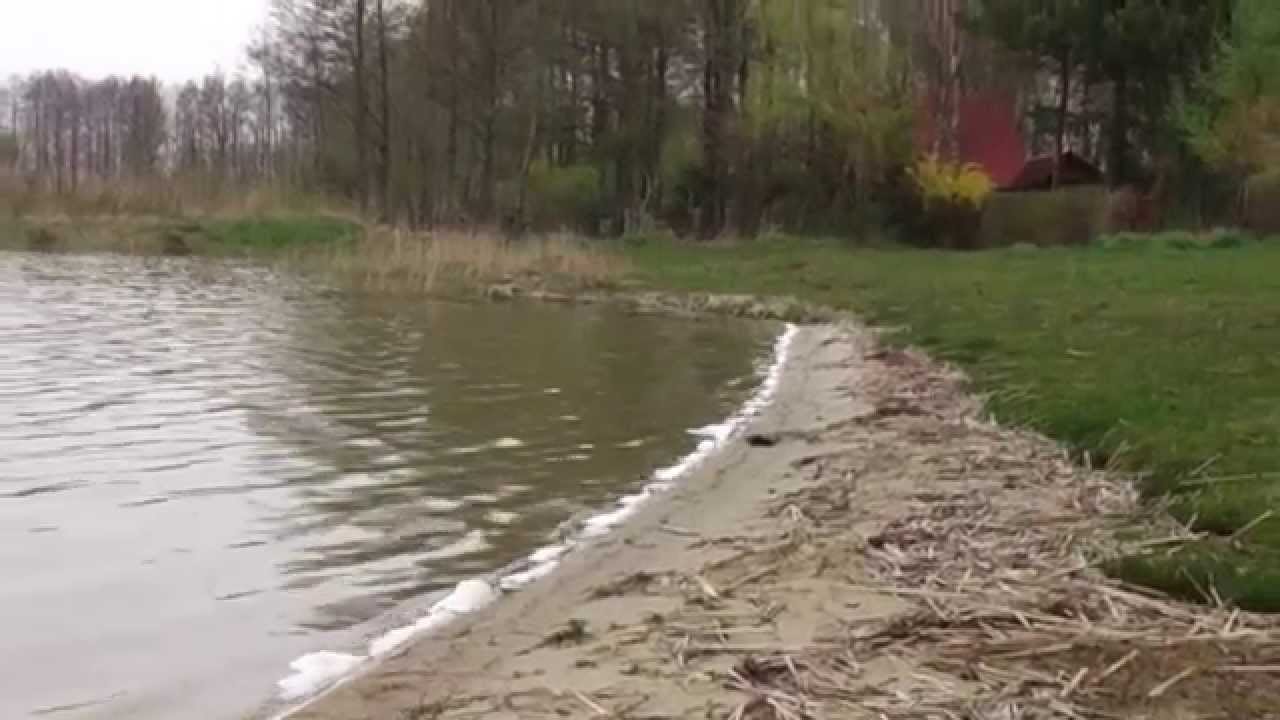 wiosna 2014 nad Jeziorem Rotcze (Grabniak)