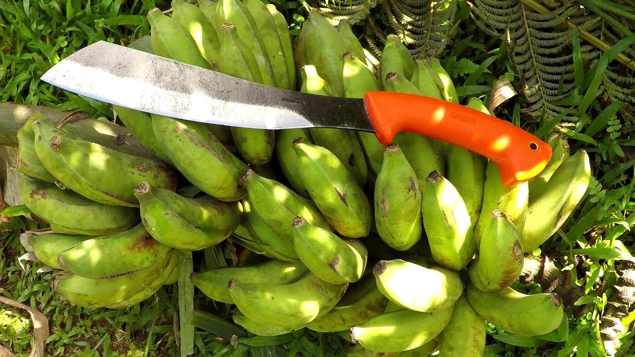 Condor ECO Parang